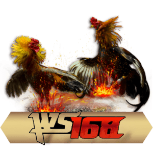 WS168 Cookfight